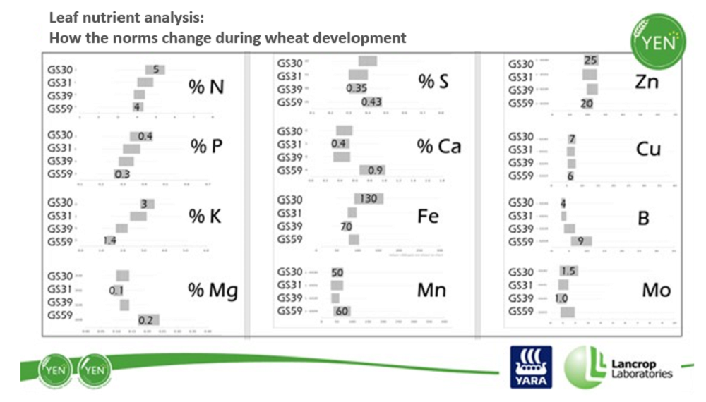 Leaf nutrient analysis results during wheat development